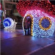 Insegnante materie giuridiche